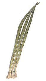 Sweetgrass Braid - Wholesale