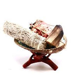 Abalone Shell - Wholesale