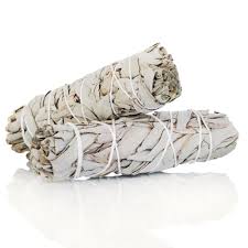 White Sage Baby Smudge - Wholesale