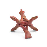 Abalone Shell - Wholesale